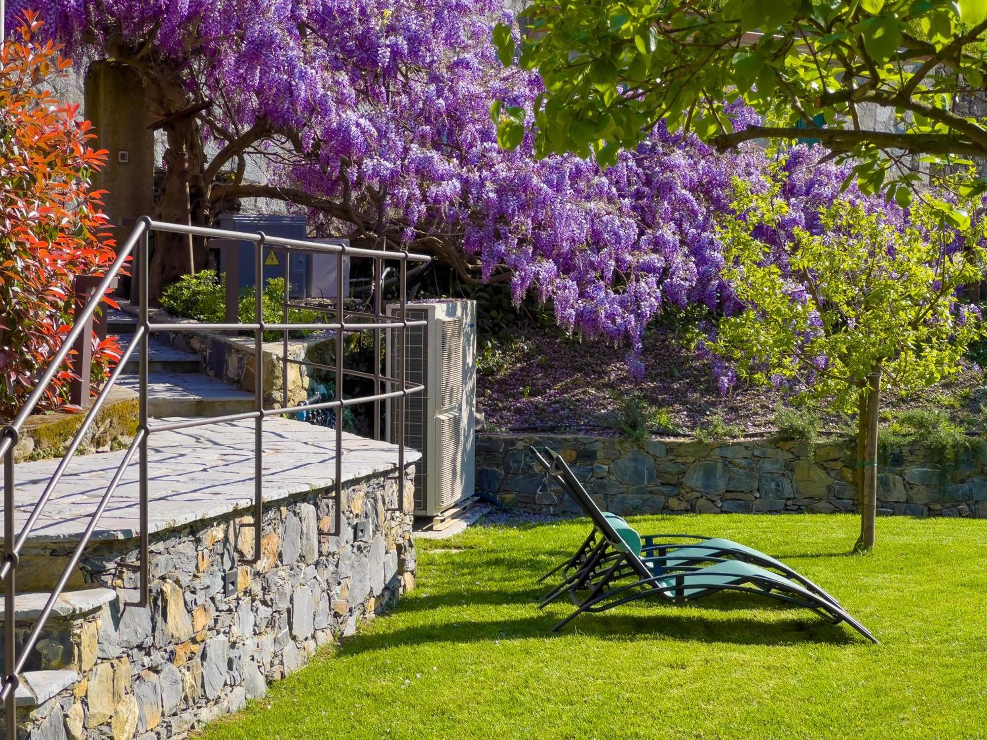 La Casa Dei Glicini Appartement Levanto Buitenkant foto